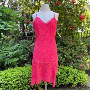 BB Dakota RSVP Rylee Lace Slip Dress Sz 4